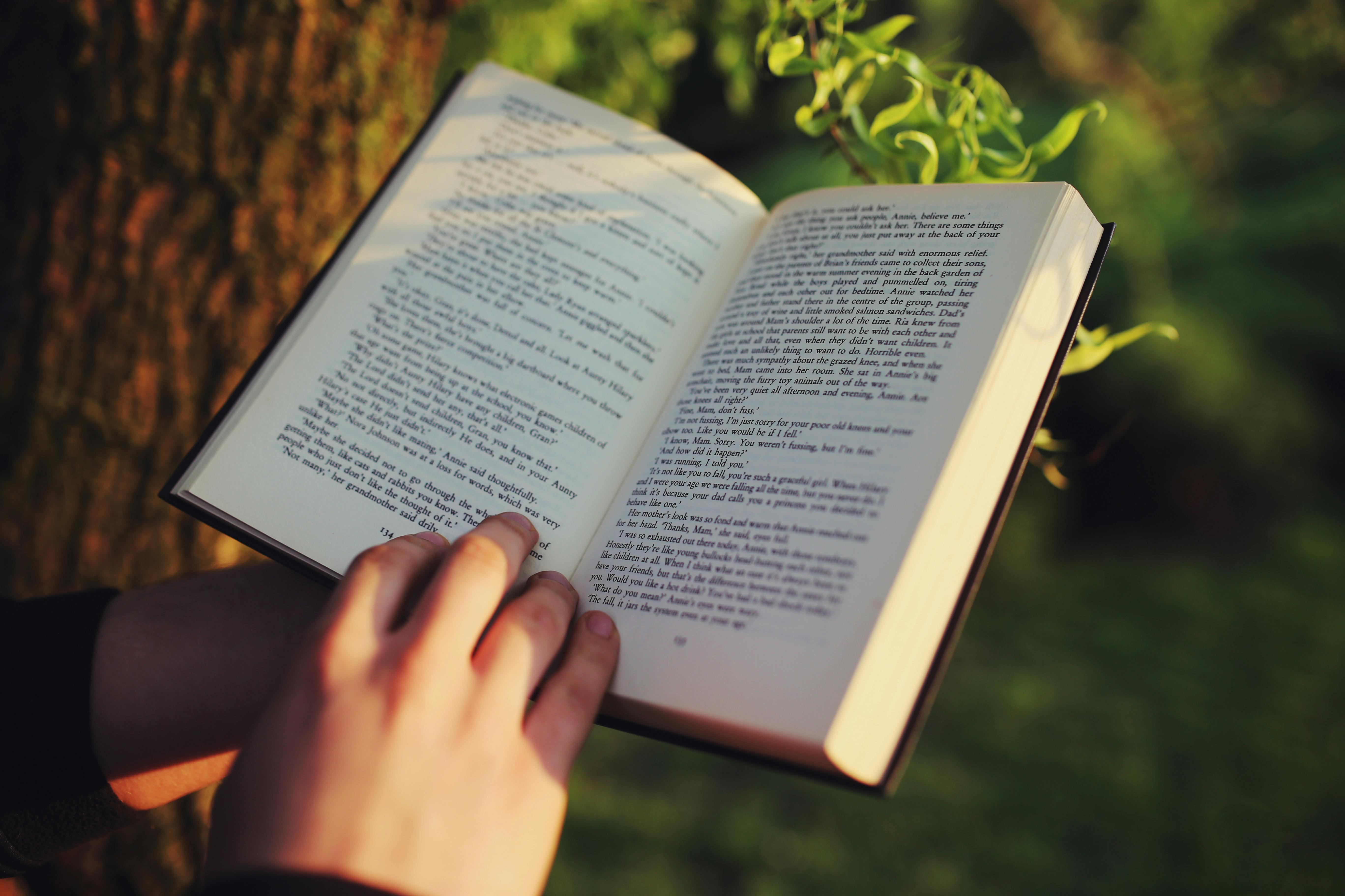 Libro de inglés