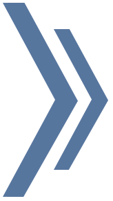 Logo Transition Idiomas